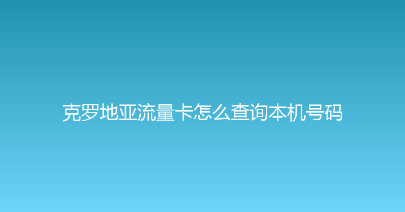 克罗地亚流量卡怎么查询本机号码 