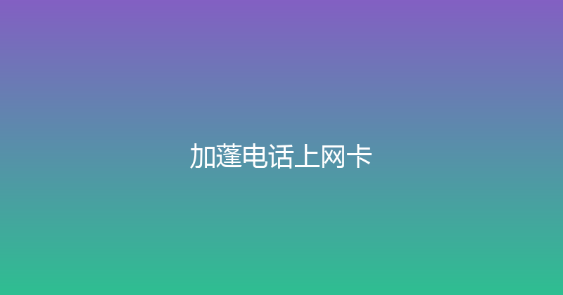 加蓬电话上网卡 