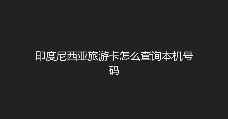 印度尼西亚旅游卡怎么查询本机号码 