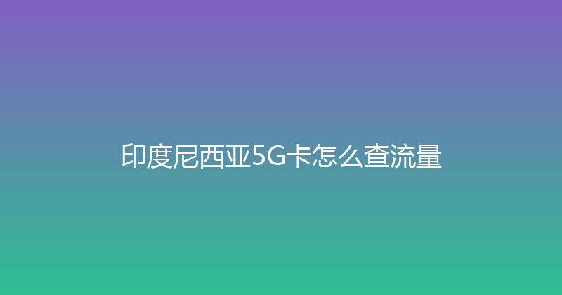 印度尼西亚5G卡怎么查流量 