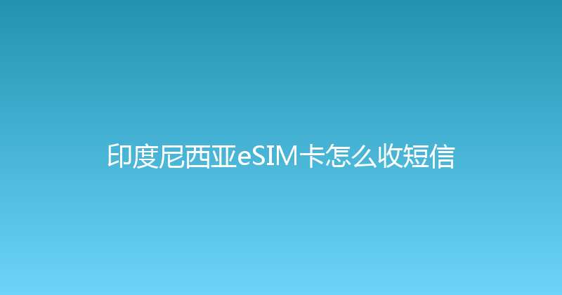 印度尼西亚eSIM卡怎么收短信 