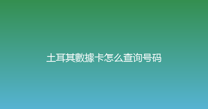 土耳其數據卡怎么查询号码 