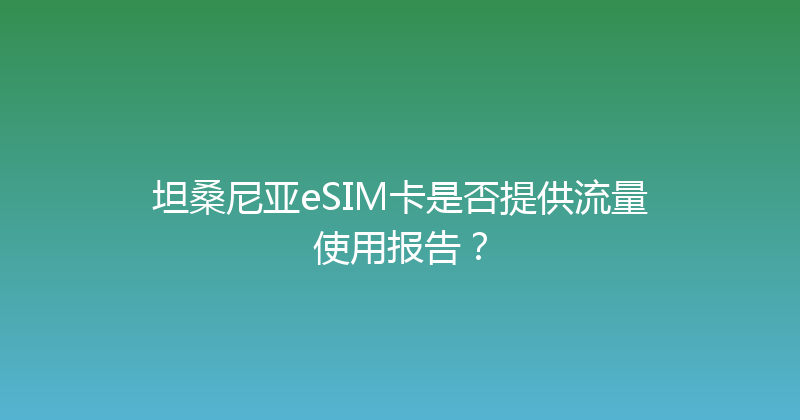 坦桑尼亚eSIM卡是否提供流量使用报告？ 