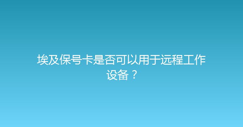 埃及保号卡是否可以用于远程工作设备？ 
