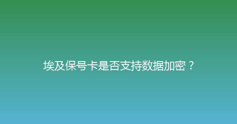 埃及保号卡是否支持数据加密？ 