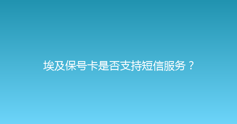 埃及保号卡是否支持短信服务？ 