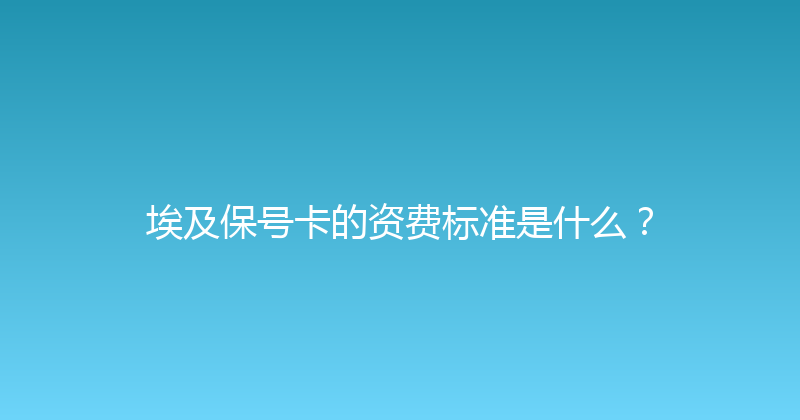 埃及保号卡的资费标准是什么？ 