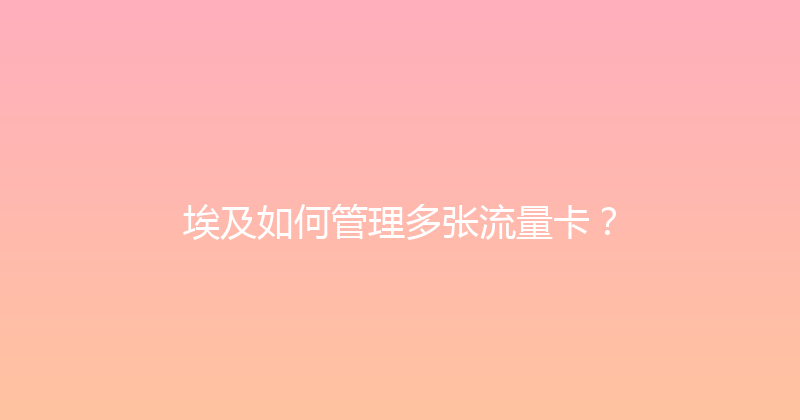 埃及如何管理多张流量卡？ 