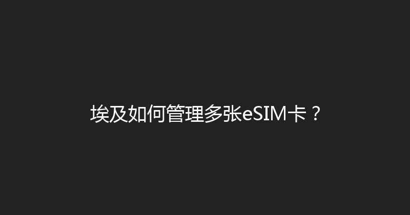 埃及如何管理多张eSIM卡？ 