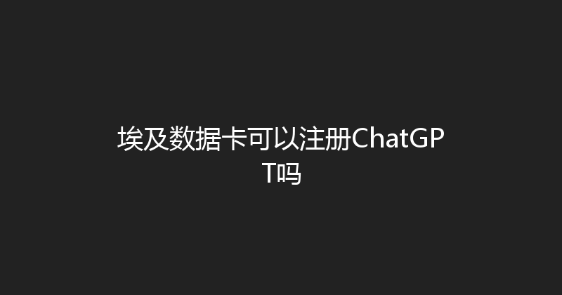 埃及数据卡可以注册ChatGPT吗 