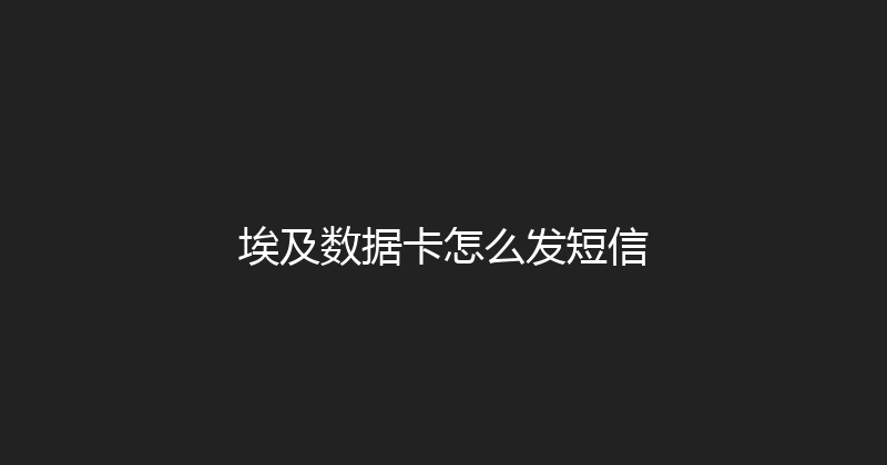 埃及数据卡怎么发短信 