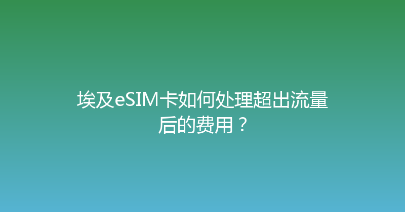 埃及eSIM卡如何处理超出流量后的费用？ 