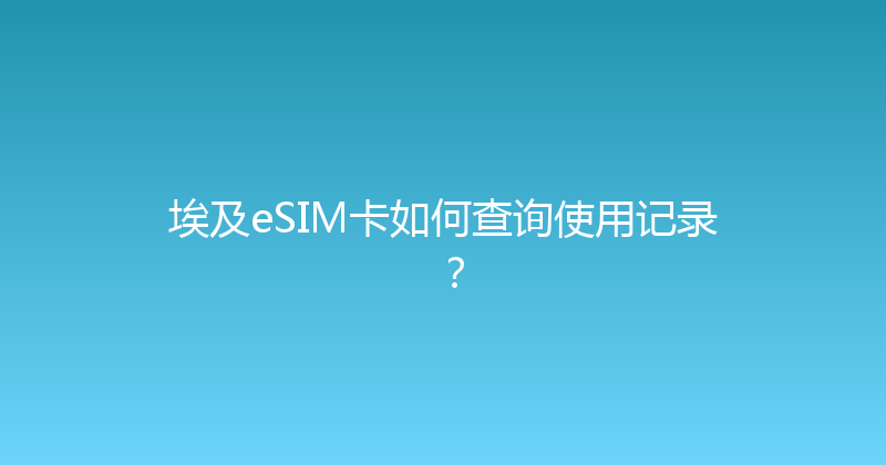 埃及eSIM卡如何查询使用记录？ 