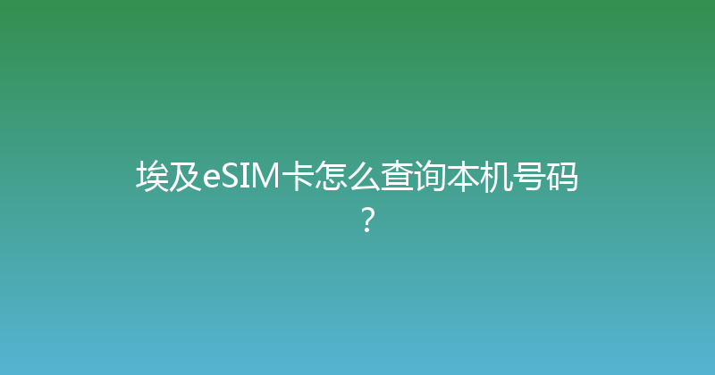 埃及eSIM卡怎么查询本机号码？ 