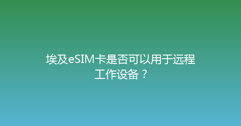 埃及eSIM卡是否可以用于远程工作设备？ 