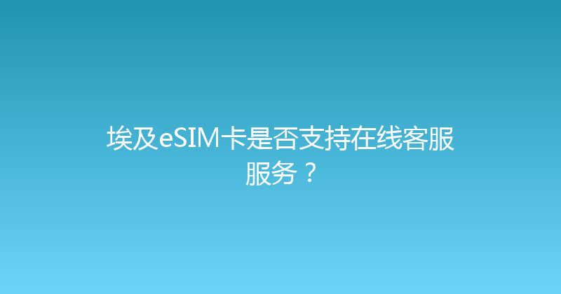 埃及eSIM卡是否支持在线客服服务？ 