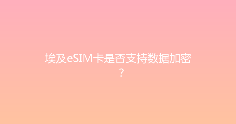 埃及eSIM卡是否支持数据加密？ 
