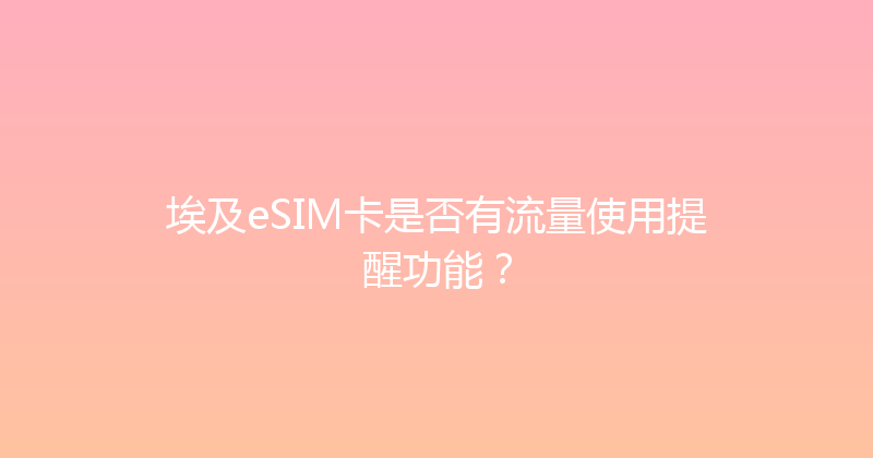 埃及eSIM卡是否有流量使用提醒功能？ 