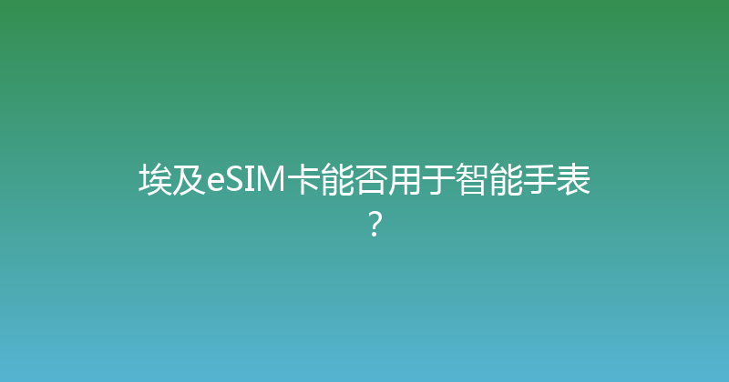 埃及eSIM卡能否用于智能手表？ 