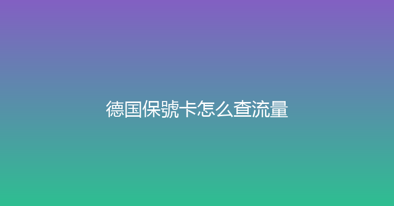 德国保號卡怎么查流量 