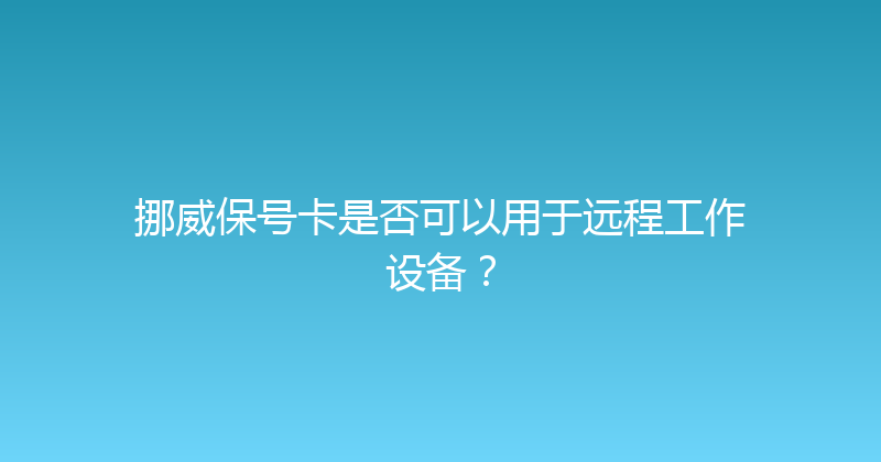 挪威保号卡是否可以用于远程工作设备？ 