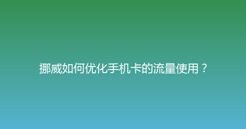 挪威如何优化手机卡的流量使用？ 