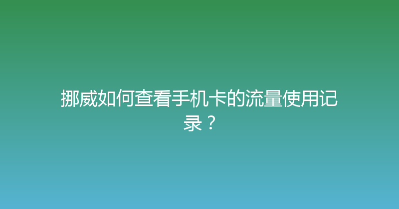 挪威如何查看手机卡的流量使用记录？ 