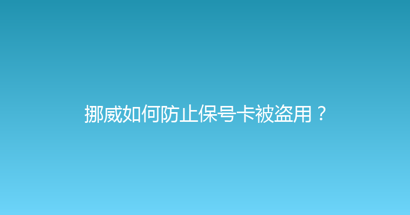 挪威如何防止保号卡被盗用？ 