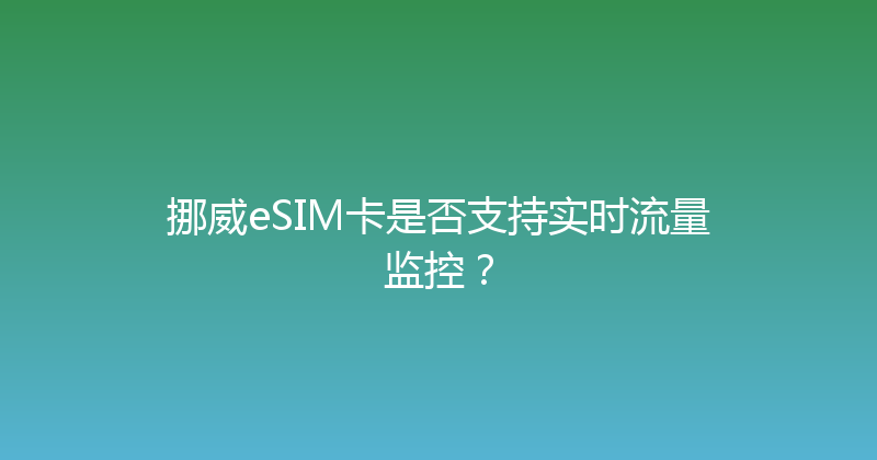 挪威eSIM卡是否支持实时流量监控？ 