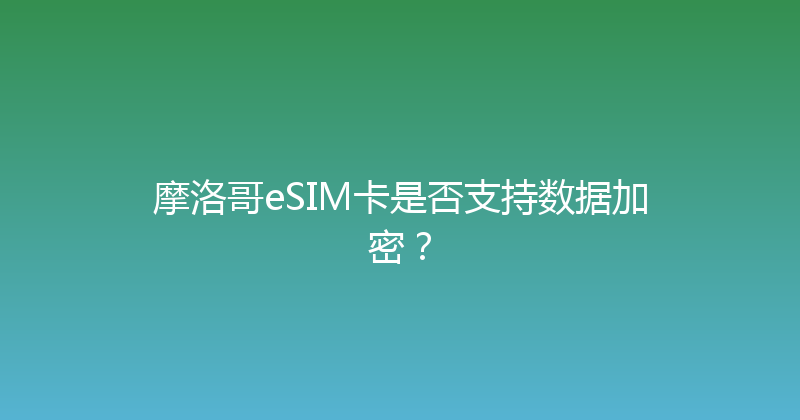 摩洛哥eSIM卡是否支持数据加密？ 