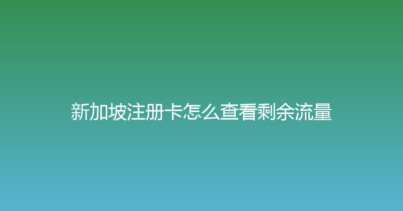 新加坡注册卡怎么查看剩余流量 