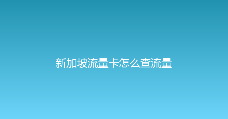 新加坡流量卡怎么查流量 