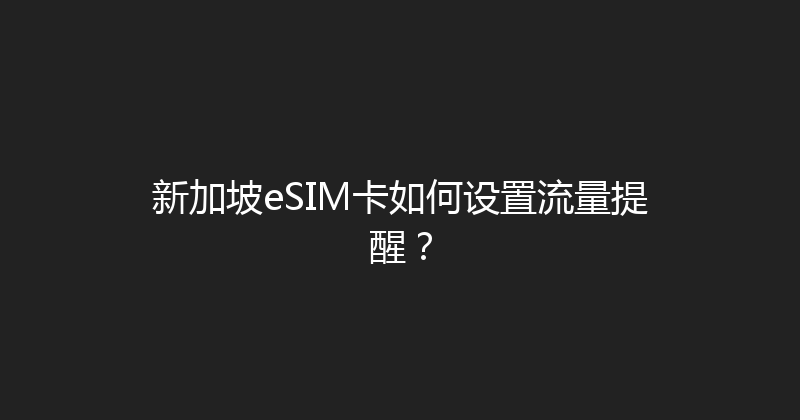 新加坡eSIM卡如何设置流量提醒？ 