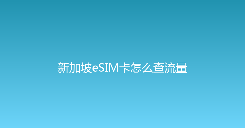 新加坡eSIM卡怎么查流量 