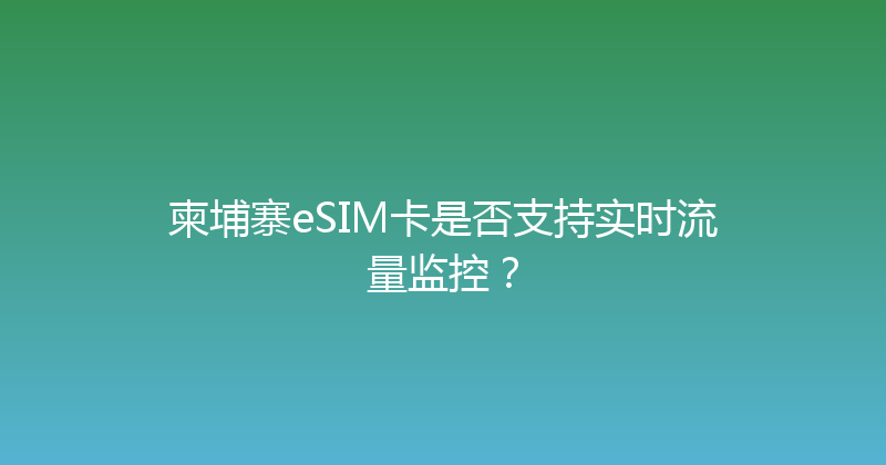 柬埔寨eSIM卡是否支持实时流量监控？ 