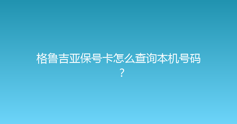 格鲁吉亚保号卡怎么查询本机号码？ 