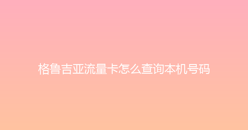 格鲁吉亚流量卡怎么查询本机号码 