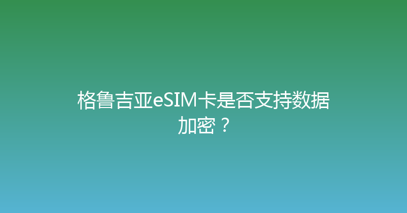 格鲁吉亚eSIM卡是否支持数据加密？ 