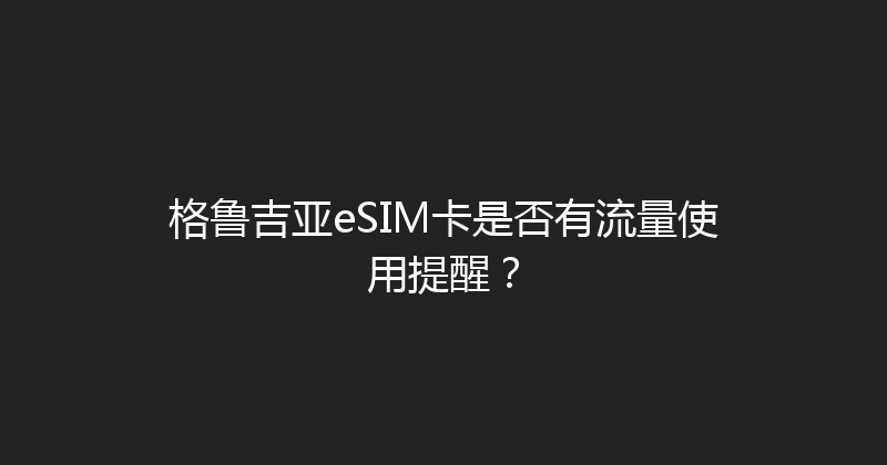 格鲁吉亚eSIM卡是否有流量使用提醒？ 
