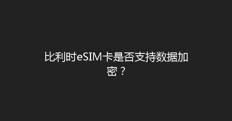 比利时eSIM卡是否支持数据加密？ 