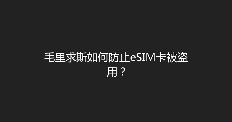 毛里求斯如何防止eSIM卡被盗用？ 