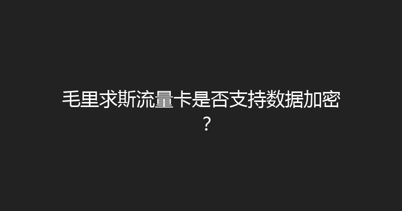 毛里求斯流量卡是否支持数据加密？ 