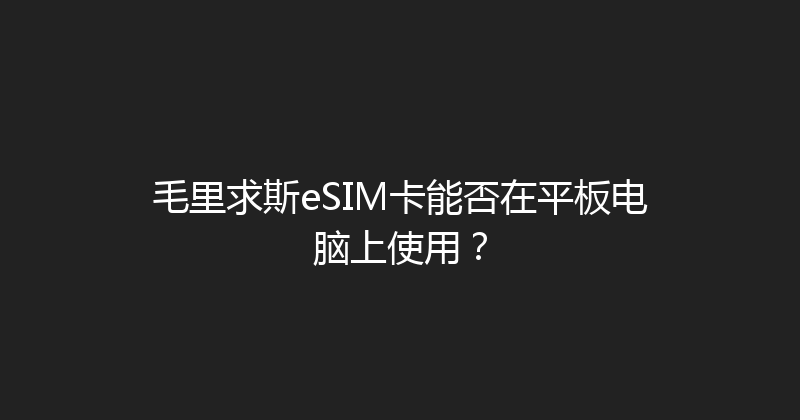 毛里求斯eSIM卡能否在平板电脑上使用？ 