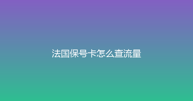 法国保号卡怎么查流量 