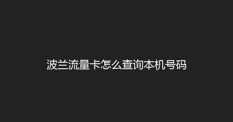 波兰流量卡怎么查询本机号码 