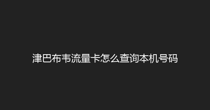 津巴布韦流量卡怎么查询本机号码 
