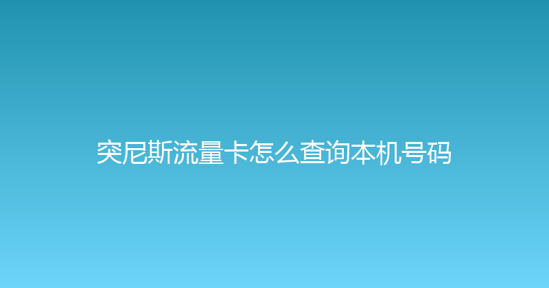 突尼斯流量卡怎么查询本机号码 