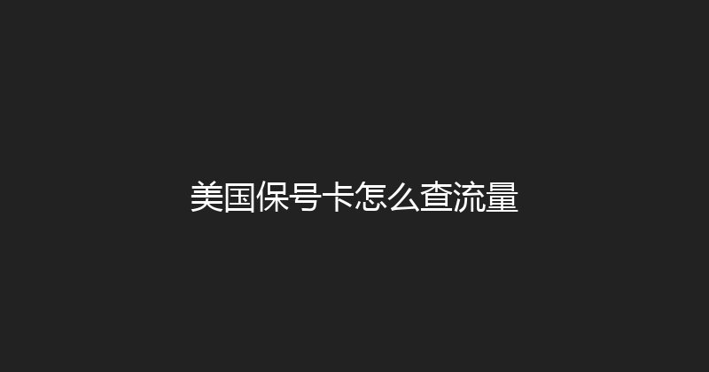 美国保号卡怎么查流量 