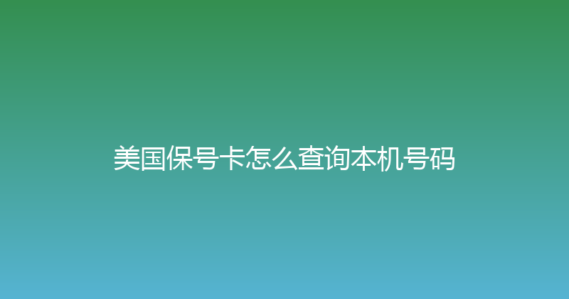 美国保号卡怎么查询本机号码 