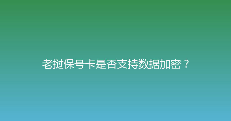 老挝保号卡是否支持数据加密？ 